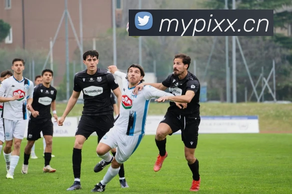 爱游戏ayx网页版APP 高清赛事图